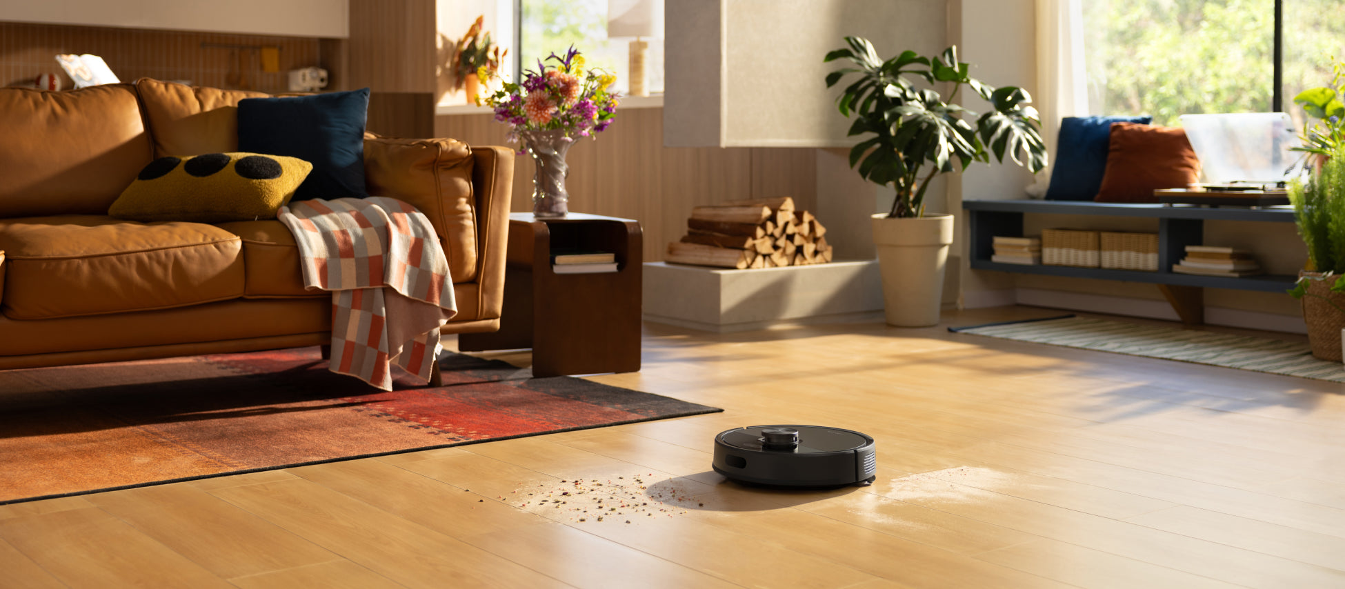 Serie Roborock Q10